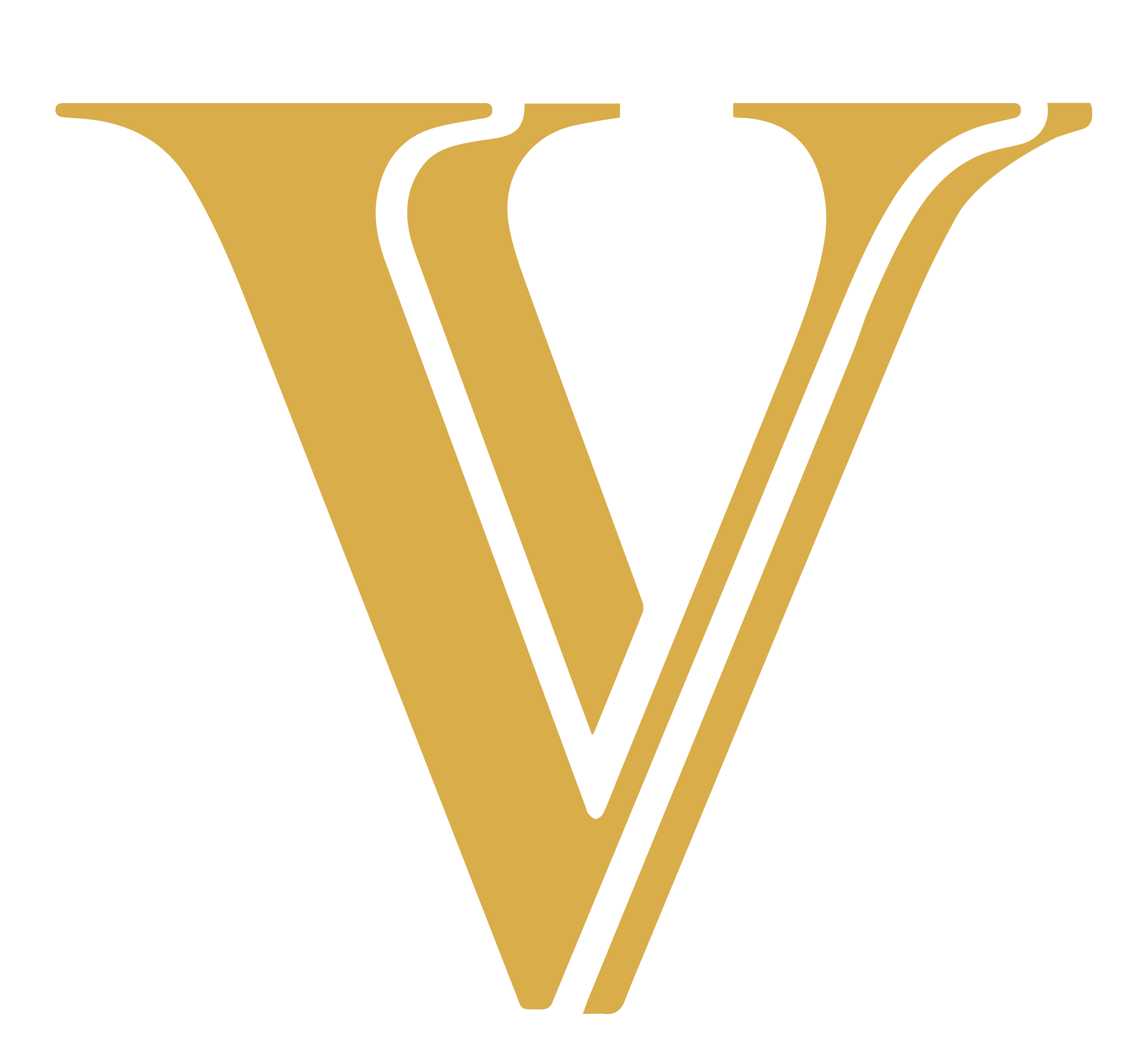 Vecchio Vassari